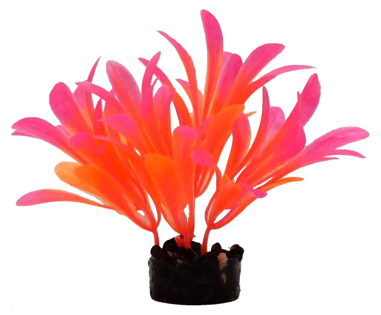 Bright Value Aquarium Plant - Bright Color
