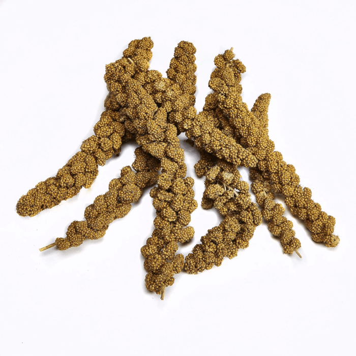 Spray Millet Treat for Pet Birds, 7 Ounce - Image 3