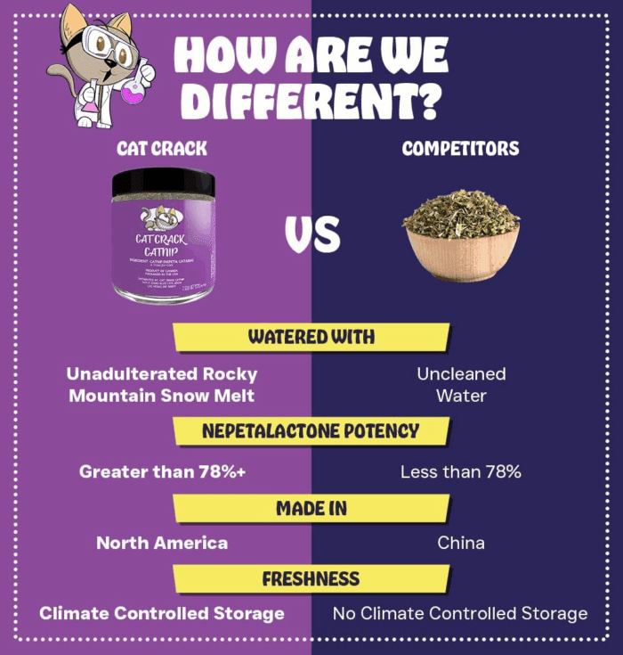 Catnip, Zoomie-Inducing Cat Nip Blend, North American Made & 100% Natural, Safe & Non-Addictive Catnip Treats Used to Supplement Cat Nip Toys, Spray, & Accessories (1 Cup) - Image 4