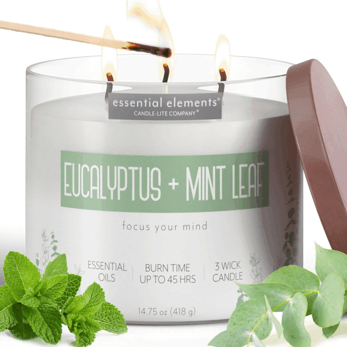 by  Scented Candles, Eucalyptus & Mint Leaf Fragrance, One 14.75 Oz. Three-Wick Aromatherapy Candle with 45 Hours of Burn Time, Off-White Color