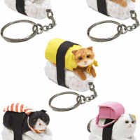 Clever Idiots Nekozushi Keychain - Blind Box Includes 1 of 5 Collectable Figurines - Features a Detachable Keyring (Version 1)