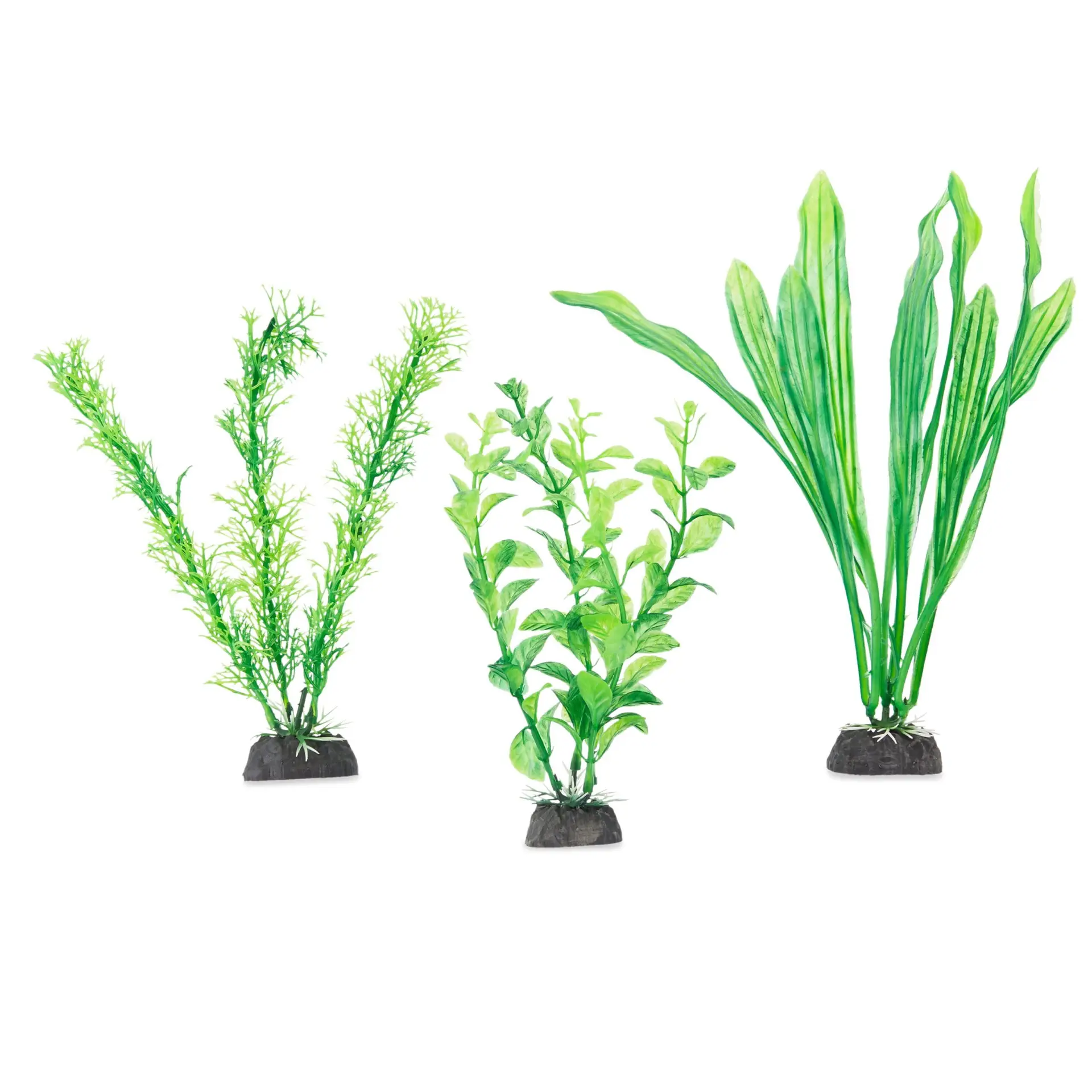 Aquarium Plants, 3 Count, Green - Image 3