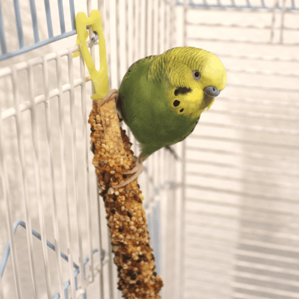 Vitakraft Menu Crunch Sticks Pet Bird Treats - Image 5