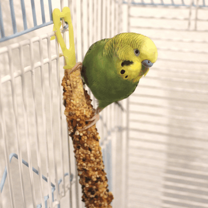 Vitakraft Menu Crunch Sticks Pet Bird Treats - Image 5