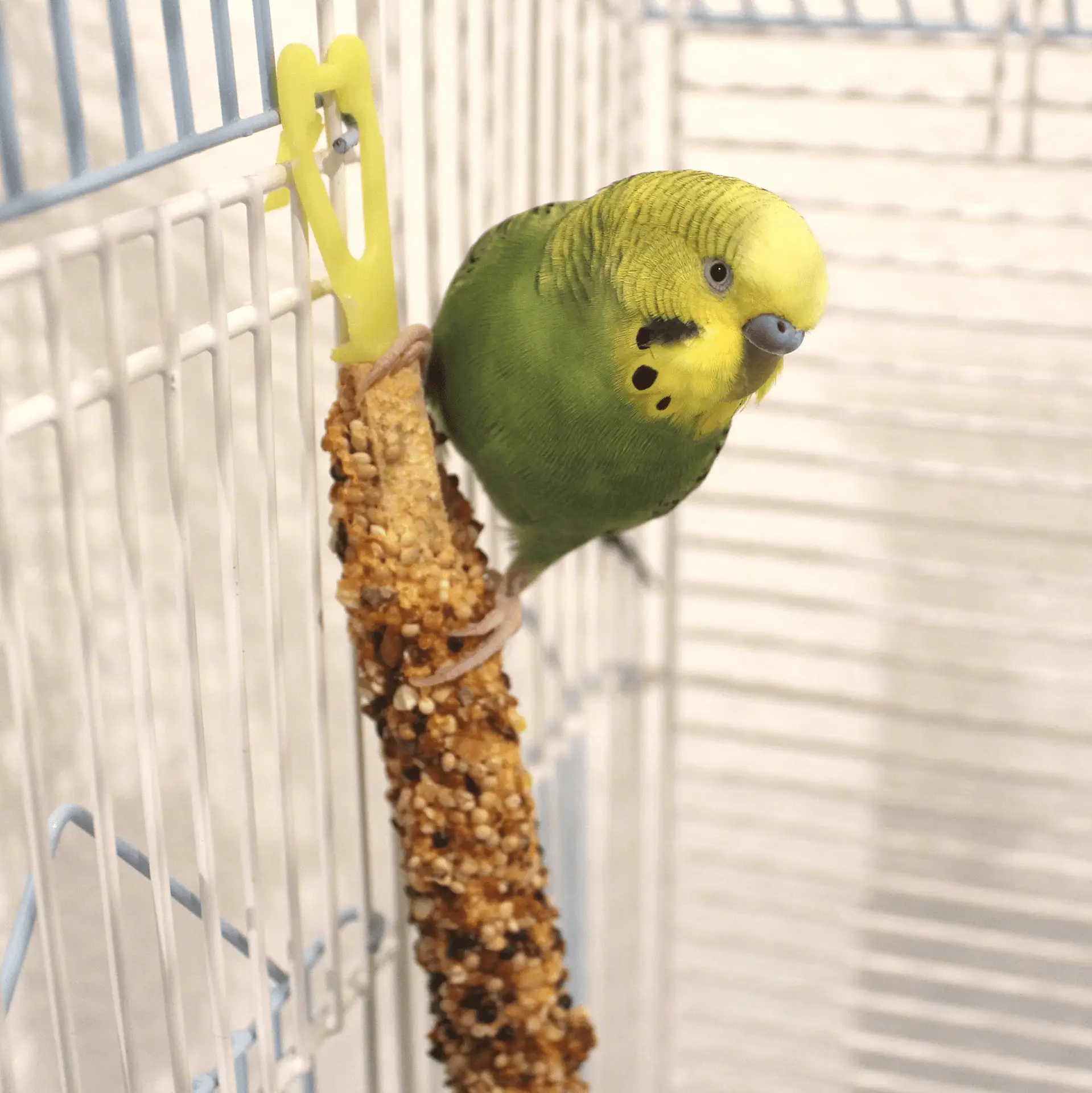 Vitakraft Menu Crunch Sticks Pet Bird Treats - Image 5