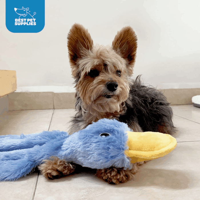 Crinkle Dog Toy for Small, Medium, and Large Breeds, Cute No Stuffing Duck with Soft Squeaker, Fun for Indoor Puppies and Senior Pups, Plush No Mess Chew and Play - Blue - Image 5