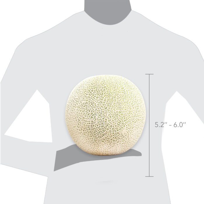 Fresh Cantaloupe, Each - Image 4
