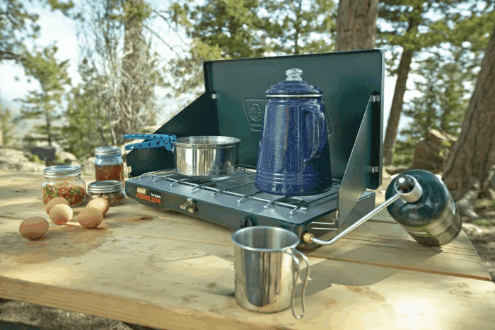 Matchlight 2-Burner Propane Stove, 10,000 BTU, Black - Image 7