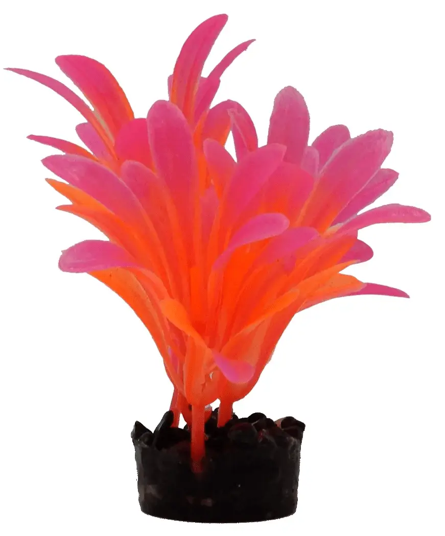 Bright Value Aquarium Plant - Bright Color - Image 2