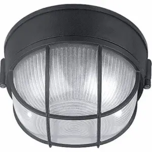 IOL17BK the Outdoor 1-Bulb Flush Mount Exterior Light with Frosted Glass Globe, Black