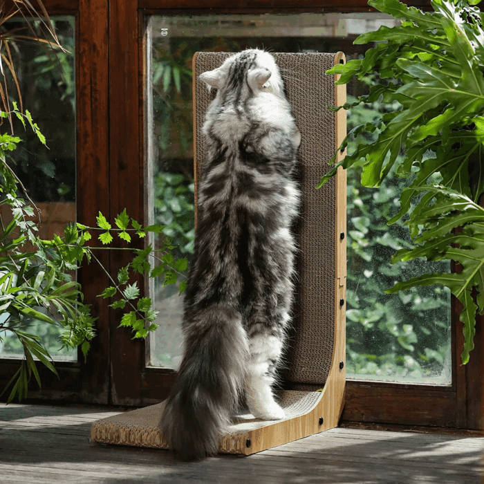 Cat Scratcher, 26.8 Inch L Shape Cat Scratch Pad Wall Mounted, Cat Scratching Cardboard with Ball Toy for Indoor Cats, Large Size - Image 6
