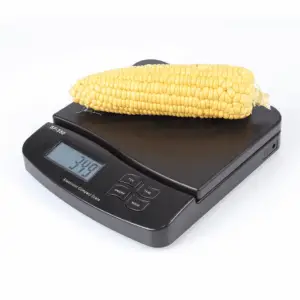 LCD Electronic Kitchen for Scale Scale Food 1G Electronic Digital Weight 25Kg Kitchen，Dining & Bar