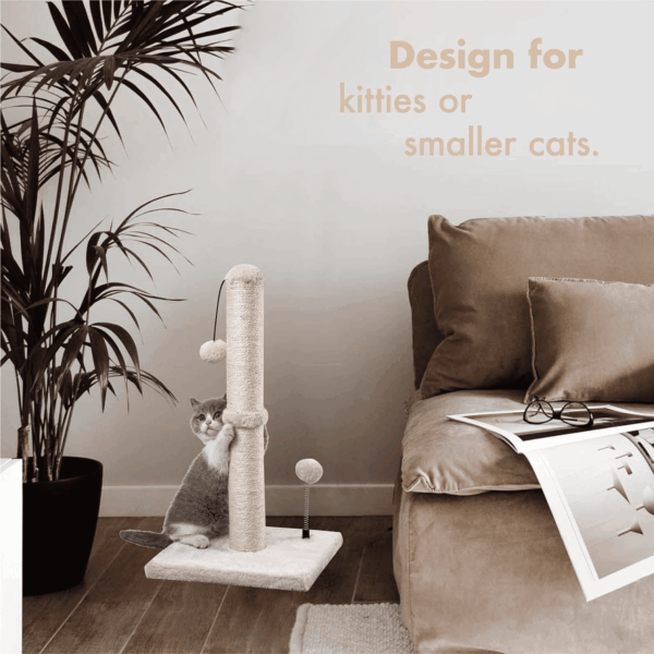 Cat Scratching Post Premium Basics Kitten Scratcher Sisal Scratch Posts with Hanging Ball 22In for Kittens or Smaller Cats (22 Inches for Kitten, Beige) - Image 5
