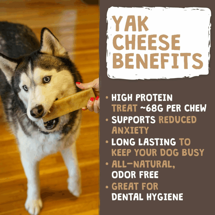 Yak Cheese Dog Chews - All-Natural Treats for Dogs - High Protein Treat with 68 Grams of Protein per Chew - Delicious and Long Lasting - Odor Free with Limited Ingredients - (Large, 4 Pack) - Image 2