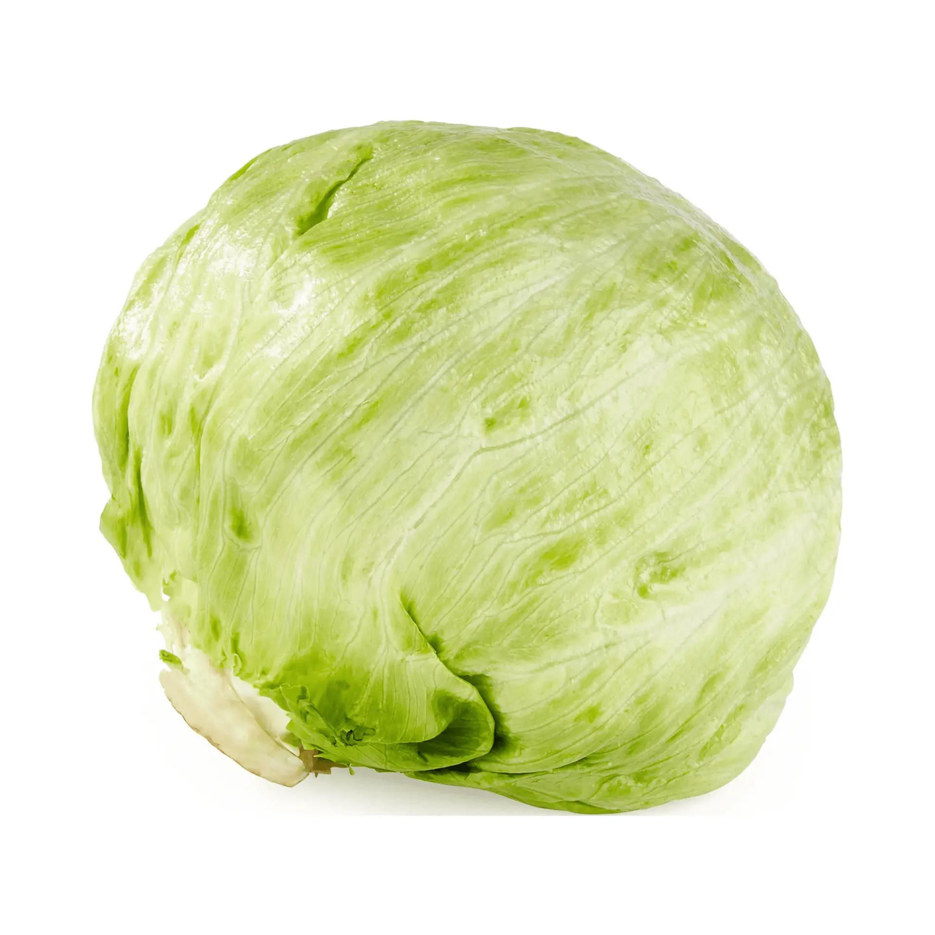 Fresh Iceberg Lettuce, Each