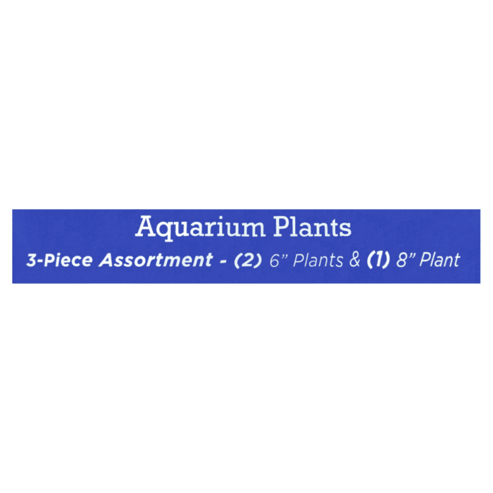 Aquarium Plants, 3 Count, Green - Image 5
