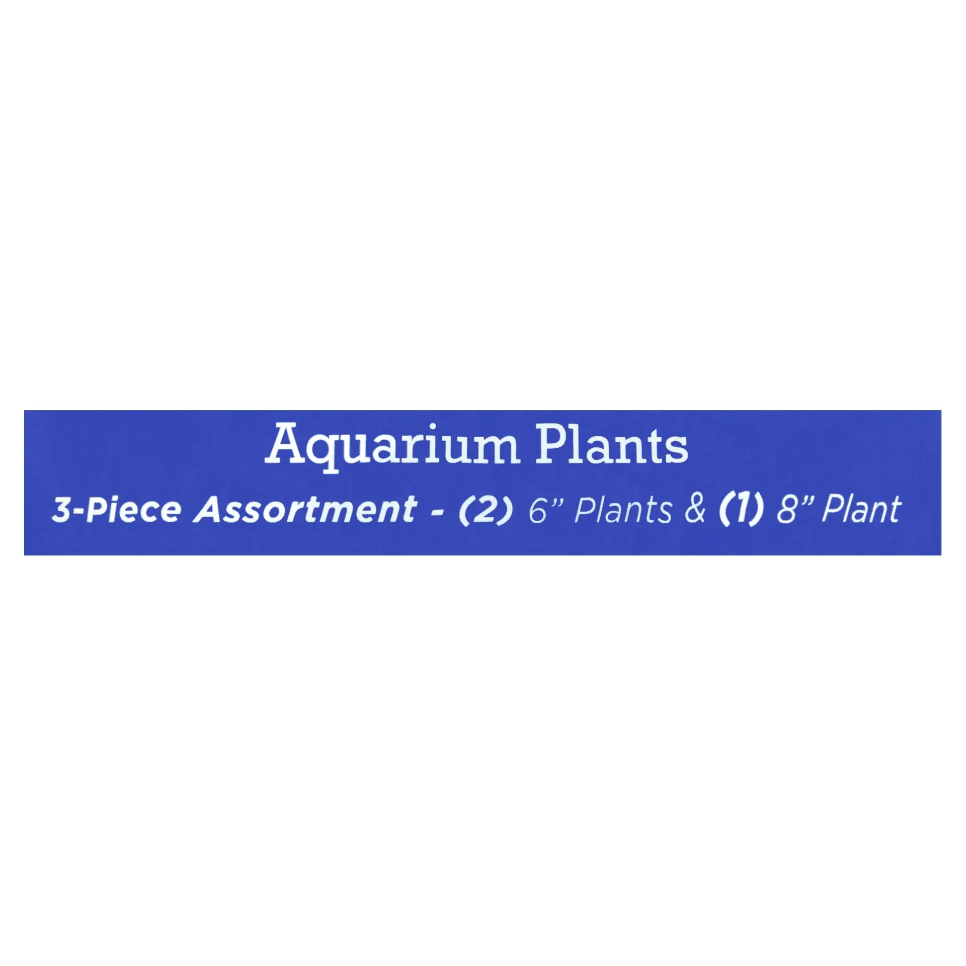 Aquarium Plants, 3 Count, Green - Image 5