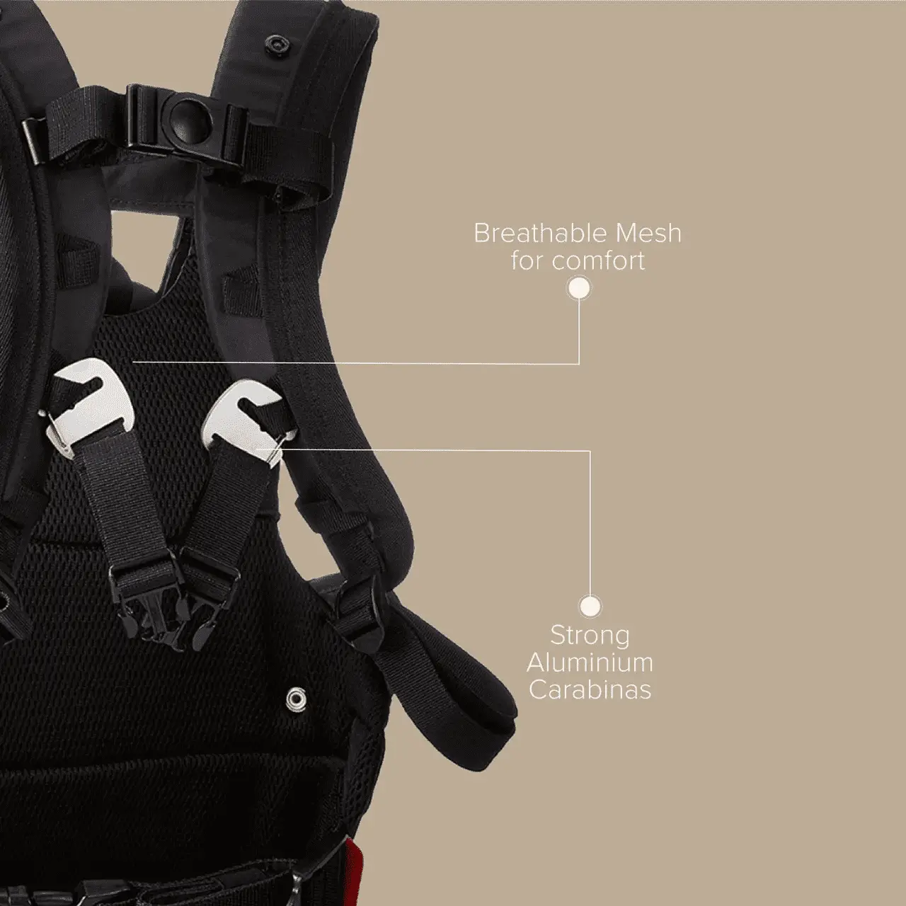 Carus Essentials - Image 4