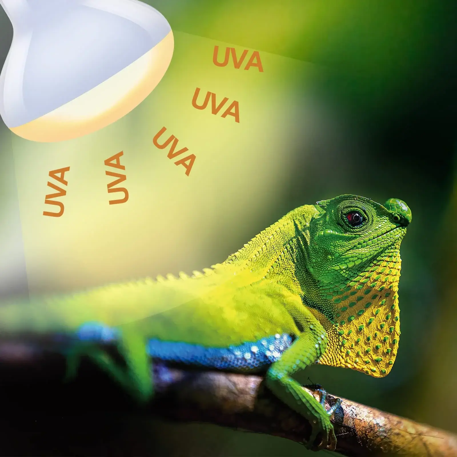 100W Reptile Heat Lamp Bulbs Combo, Day & Night Basking Spot Light, UVA Heating Lamp 2 Pack - Image 6