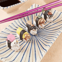 Clever Idiots Nekozushi Keychain - Blind Box Includes 1 of 5 Collectable Figurines - Features a Detachable Keyring (Version 1) - Image 7