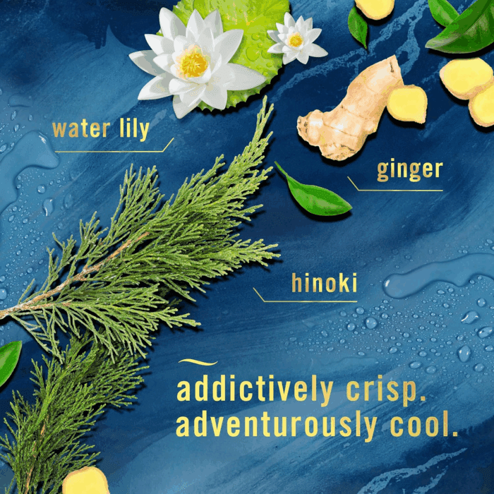 Air Mist Air Freshener Spray, Odor-Fighting Room Spray, Air Fresheners for Home and Bathroom and Kitchen, Aerosol Can, Ocean Scent, 8.8Oz, 3 Count - Image 3