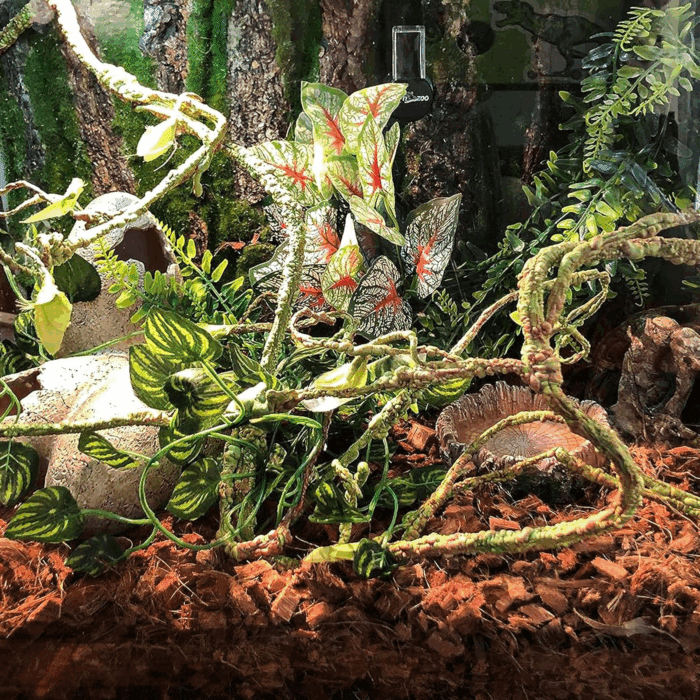 Reptile Vines, Flexible Jungle Climbing Vines Terrarium Plastic Plants and Leaves Tank Accessories Decor for Gecko Snake Lizard Bearded Dragon Hermit Crab Frog - Image 4