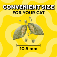Classic Crunchy and Soft Cat Treats Blissful Catnip Flavor, 16 Oz. Tub - Image 9