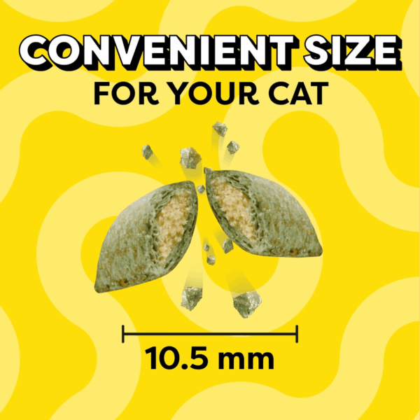 Classic Crunchy and Soft Cat Treats Blissful Catnip Flavor, 16 Oz. Tub - Image 9