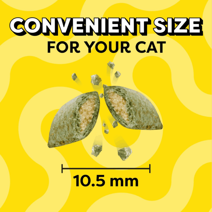 Classic Crunchy and Soft Cat Treats Blissful Catnip Flavor, 16 Oz. Tub - Image 9