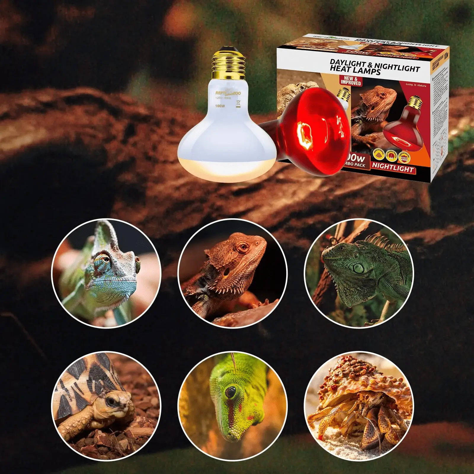 100W Reptile Heat Lamp Bulbs Combo, Day & Night Basking Spot Light, UVA Heating Lamp 2 Pack - Image 5