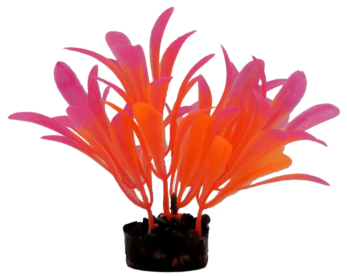 Bright Value Aquarium Plant - Bright Color - Image 3