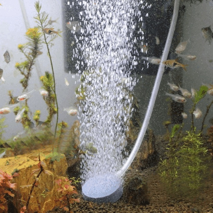 Aquarium Decorations Fish Bubble 1Xair Oxygen Tank Hydroponic Aquarium Stone Pump Aquarium Accessories