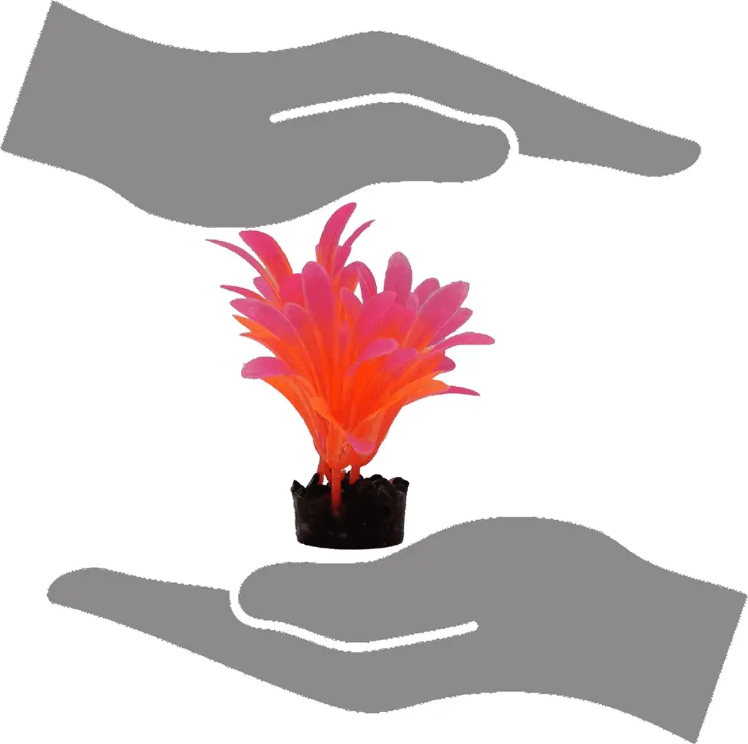 Bright Value Aquarium Plant - Bright Color - Image 7