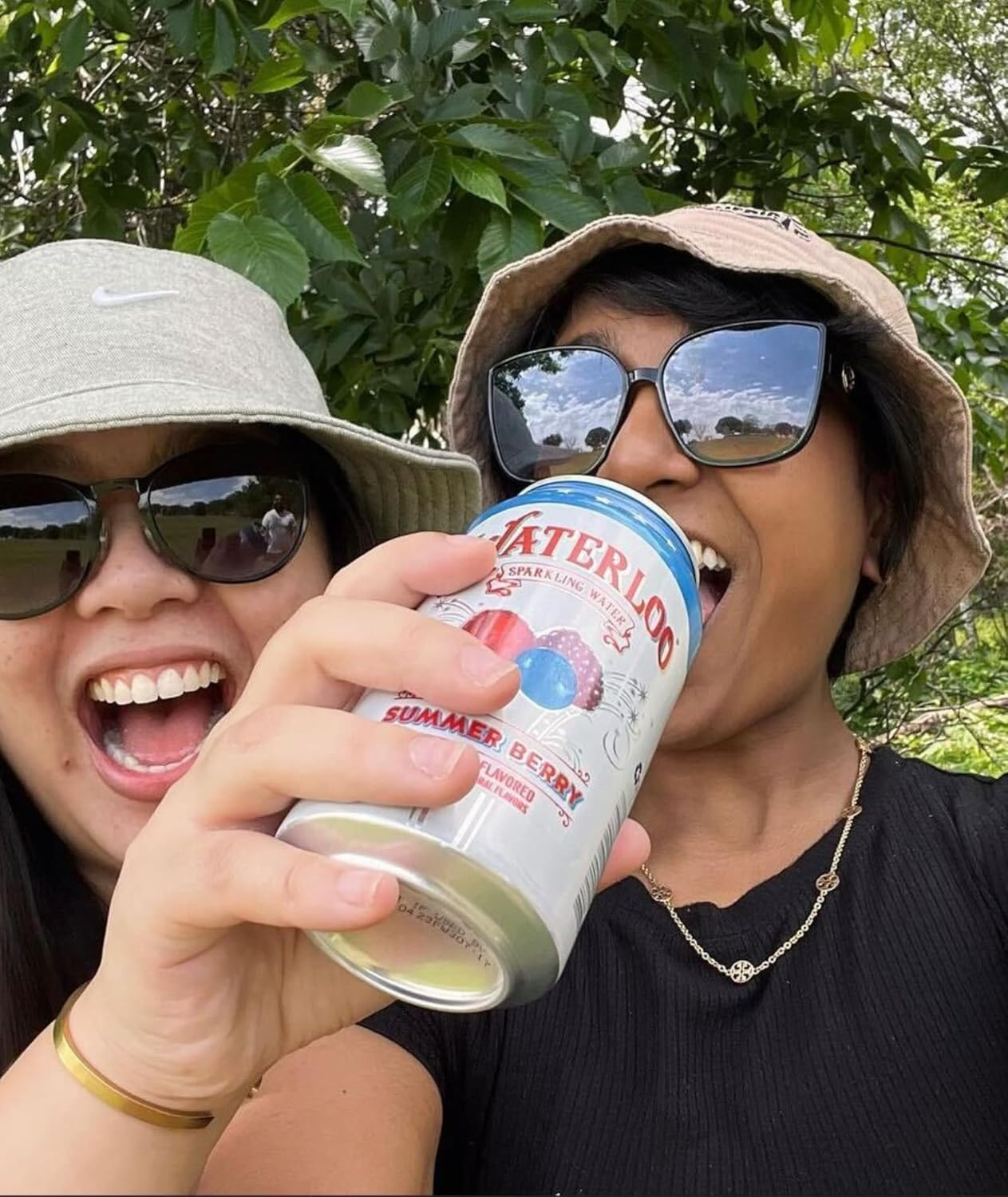 , Summer Berry Naturally Flavored, 12 Fl Oz Cans (Pack of 12) – Zero Calories and Zero Sugar or Sweeteners - Image 5