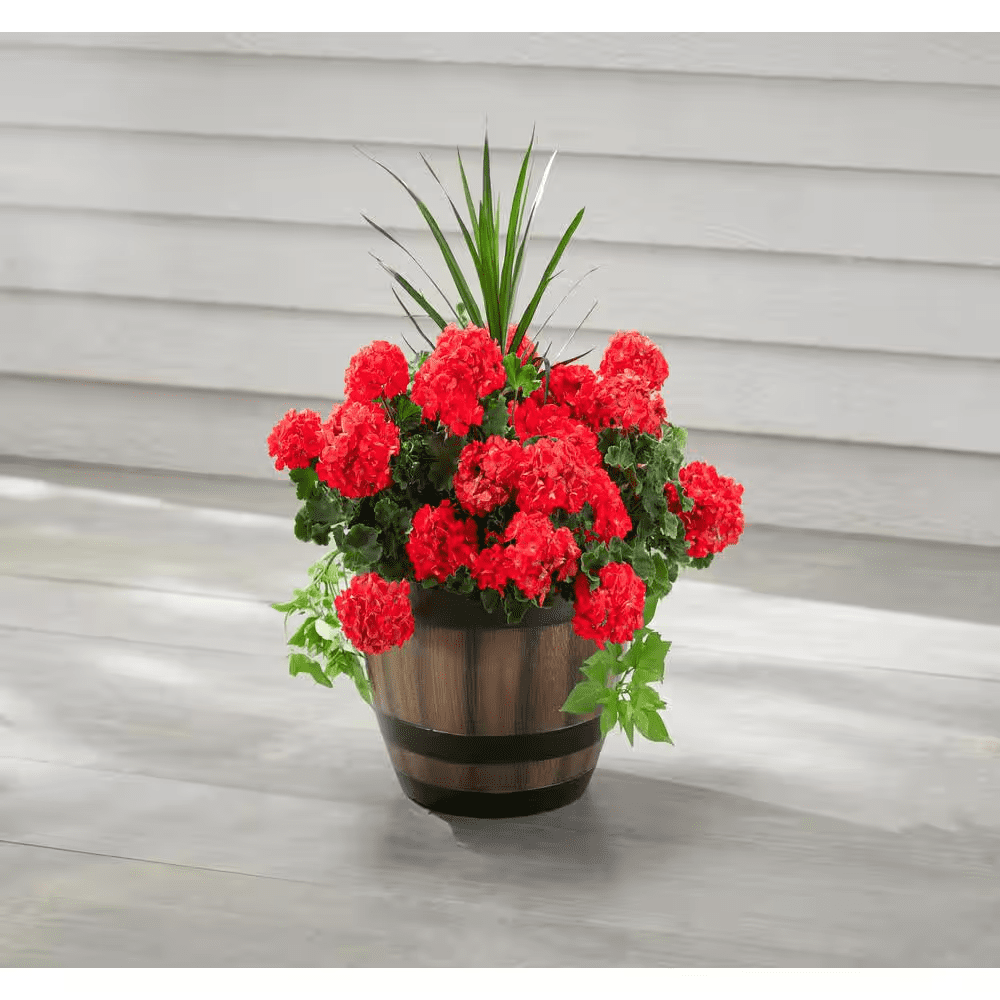 Reedley Large Kentucky Walnut Brown Resin Wine Barrel Lightweight round Planter (20 In. L X 20 In. W X 14.5 In. H) - Image 3