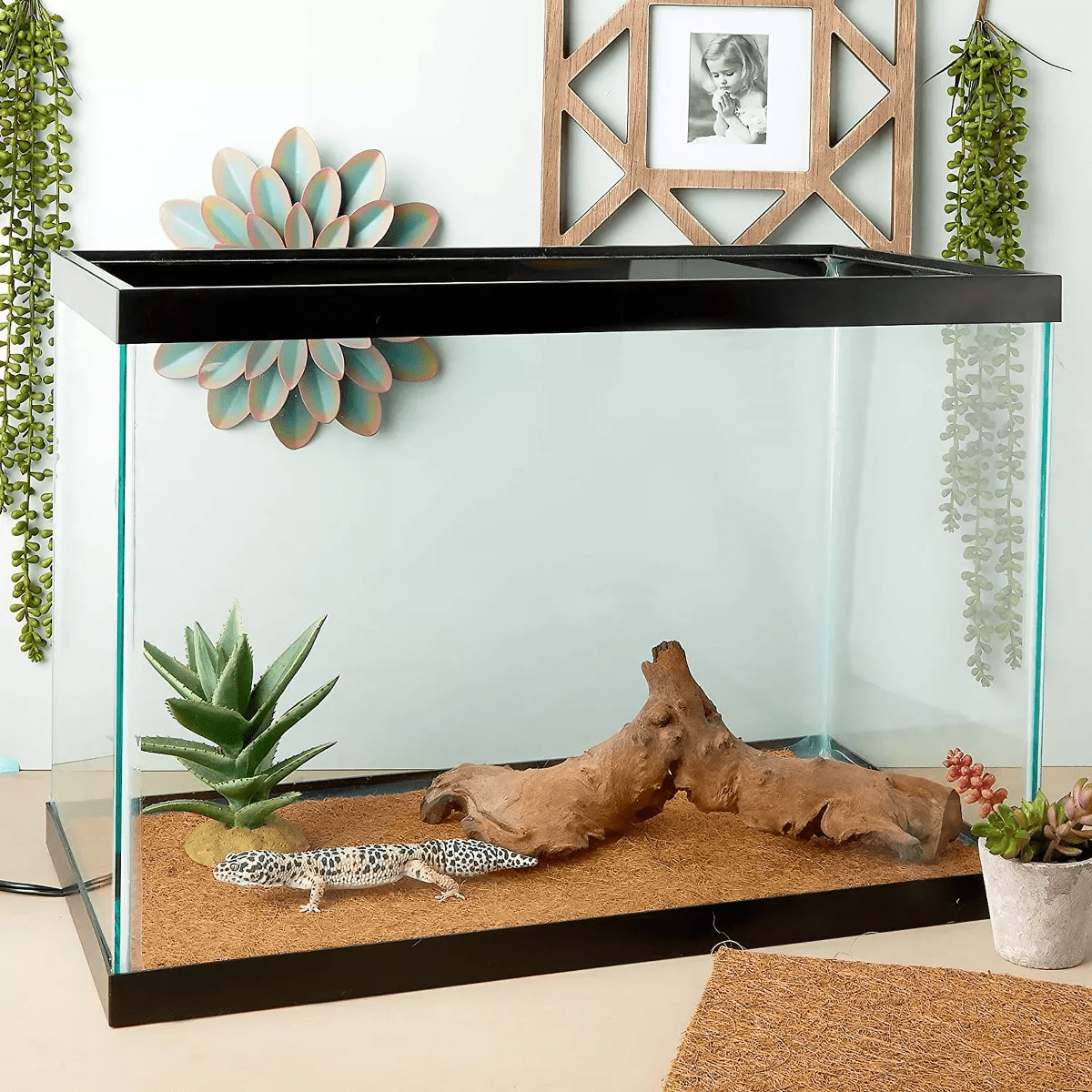 Farmlyn Creek 4 Pack Coco Fiber Liner Sheets Replacement for Planters, Substrate Mats for Small Pets, 19 X 11 Inch - Image 2