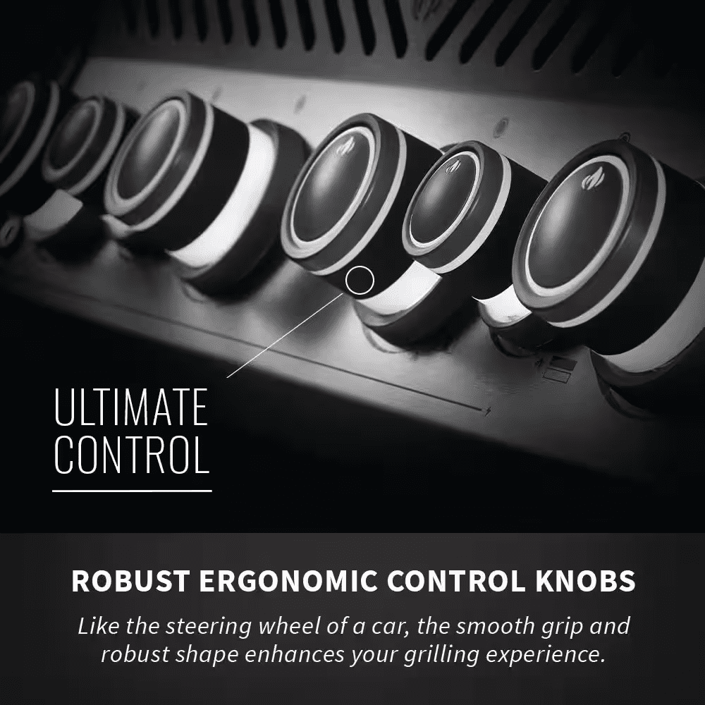 Rogue 4-Burner Propane Gas Grill in Stainless Steel with Infrared Rear and Side Burners - Image 10