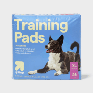 Dog Training Pads - XL - Up&Up