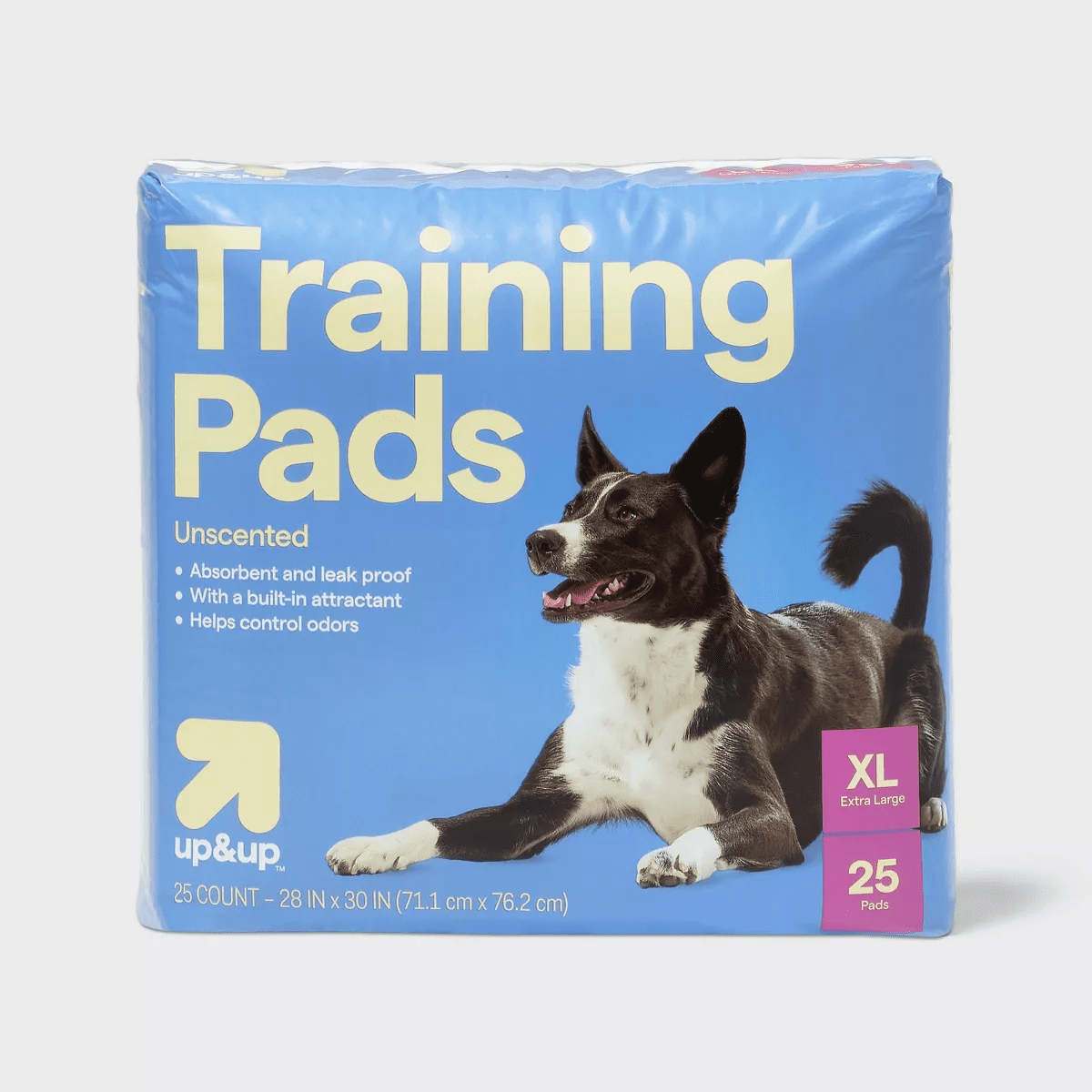 Dog Training Pads - XL - Up&Up