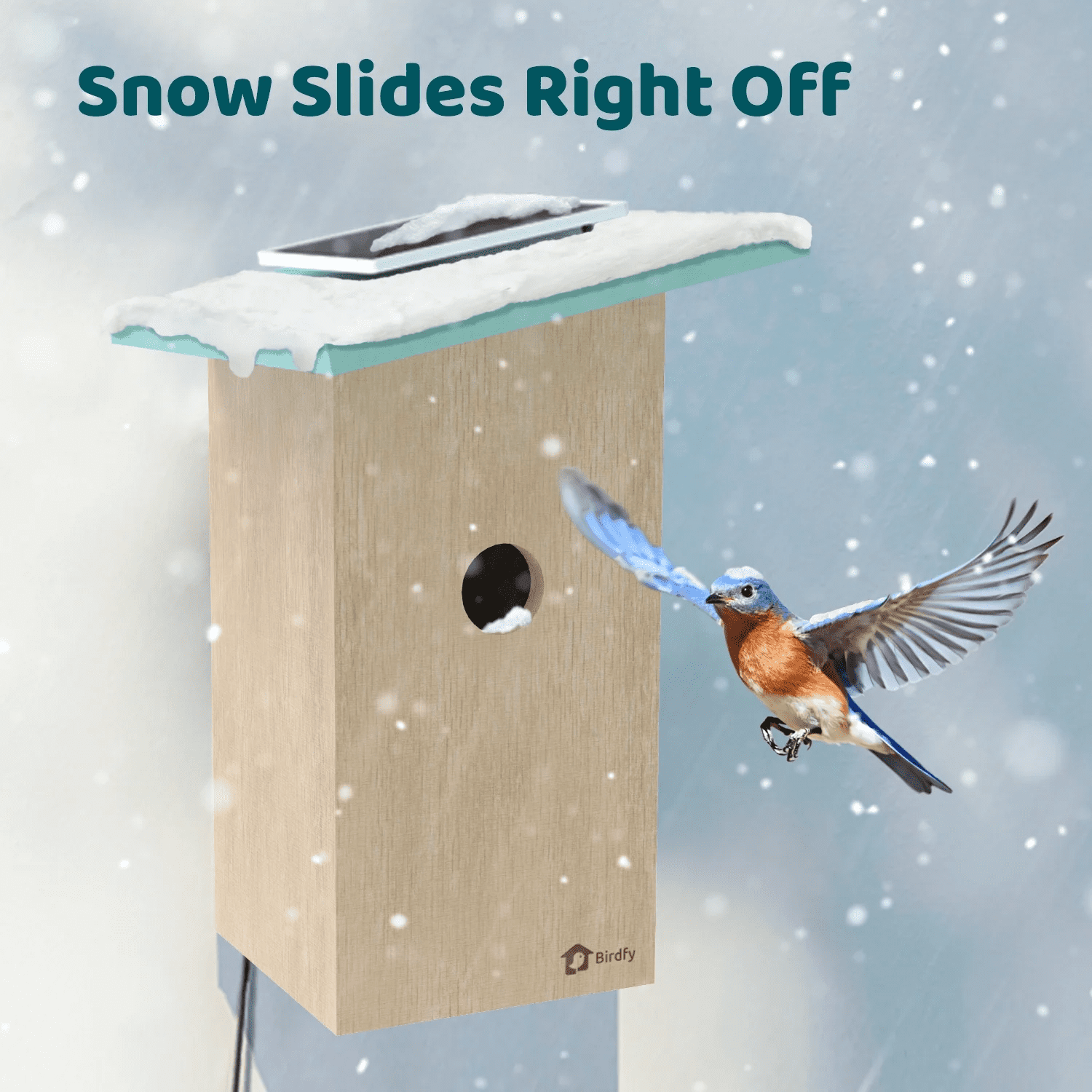 Smart s with 1080P HD Bird Feeder Camera, Perfect Viewing Bird Nesting and Hatching, Solar Powered, Cyan - Image 8