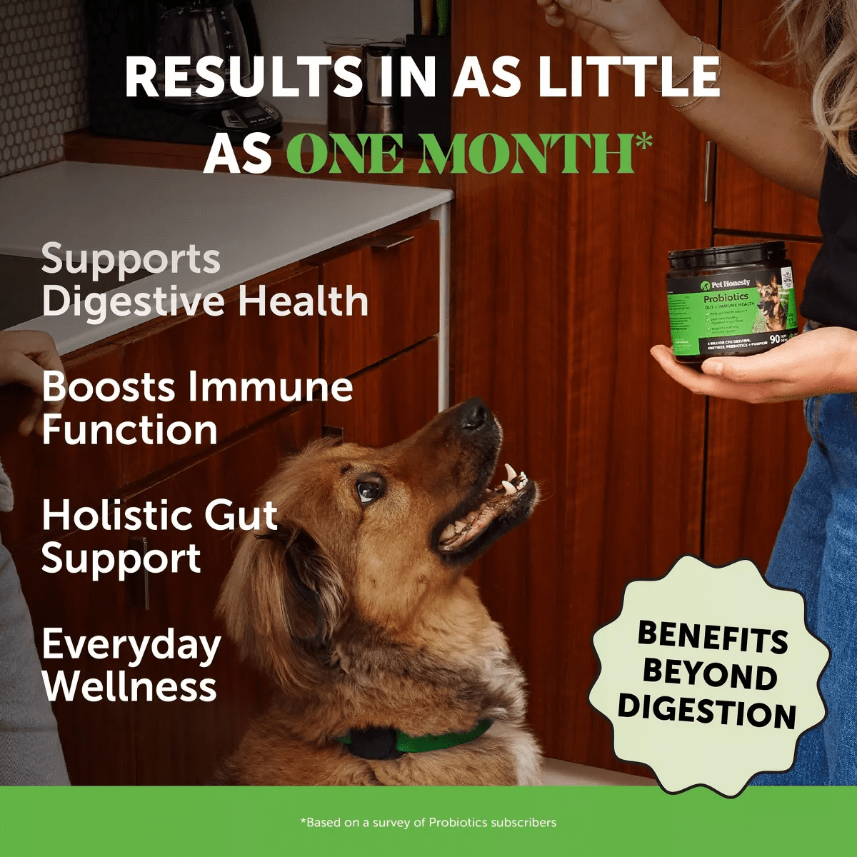 Pet Honesty Probiotics Gut & Health Duck Flavor Supplement for Dog - 60Ct - Image 3