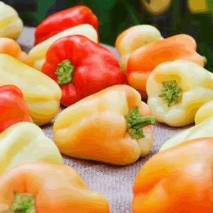 19 Oz. Gypsy Pepper Plant