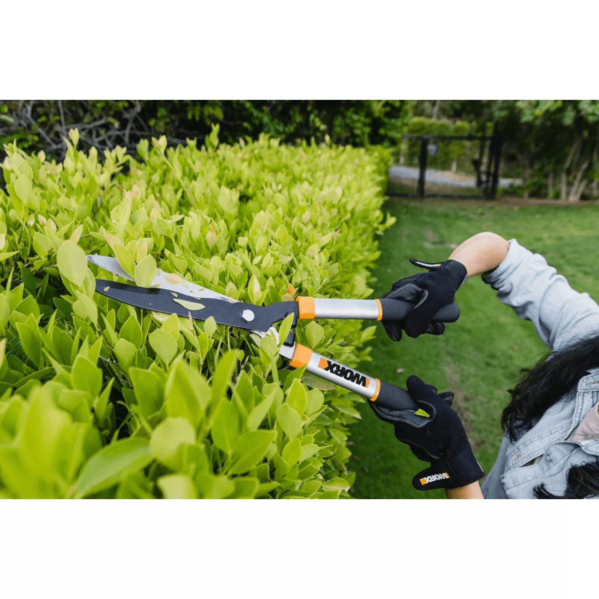 Worx WG062 9" Steel Blade Hedge Shears - Image 6