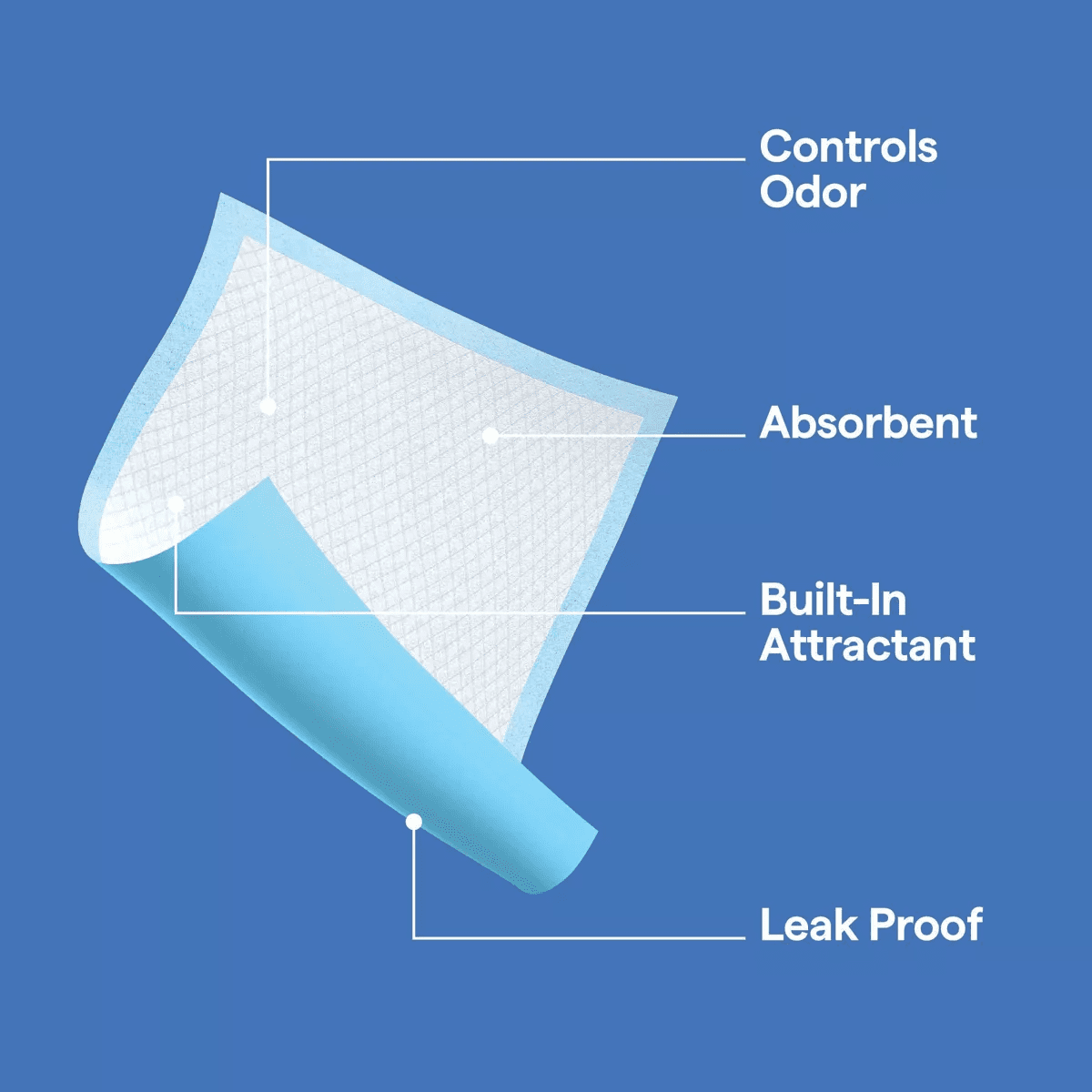 Dog Training Pads - XL - Up&Up - Image 5