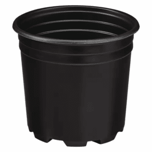 Trade 2 Gal. (1.8 Gal.) Black Thermoformed Nursery Pot