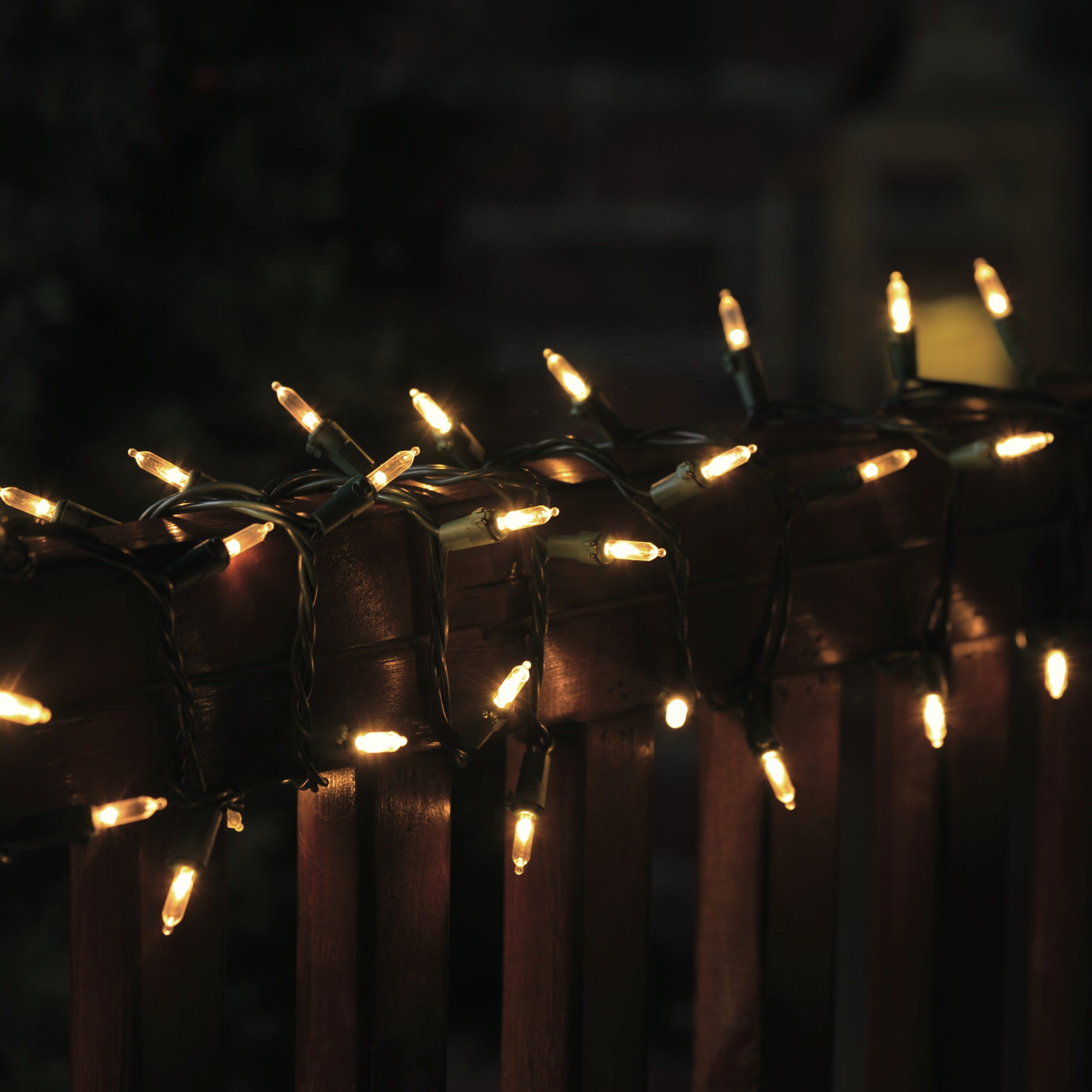 Indoor/Outdoor 300-Count LED Mini Christmas String Lights, Warm White, 62.3', by - Image 2