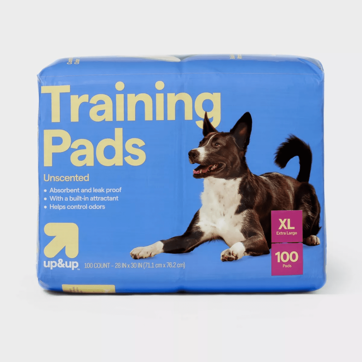 Dog Training Pads - XL - Up&Up - Image 8