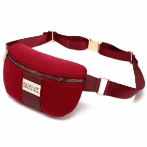 Badgley Mischka Sage Travel Fanny Pack
