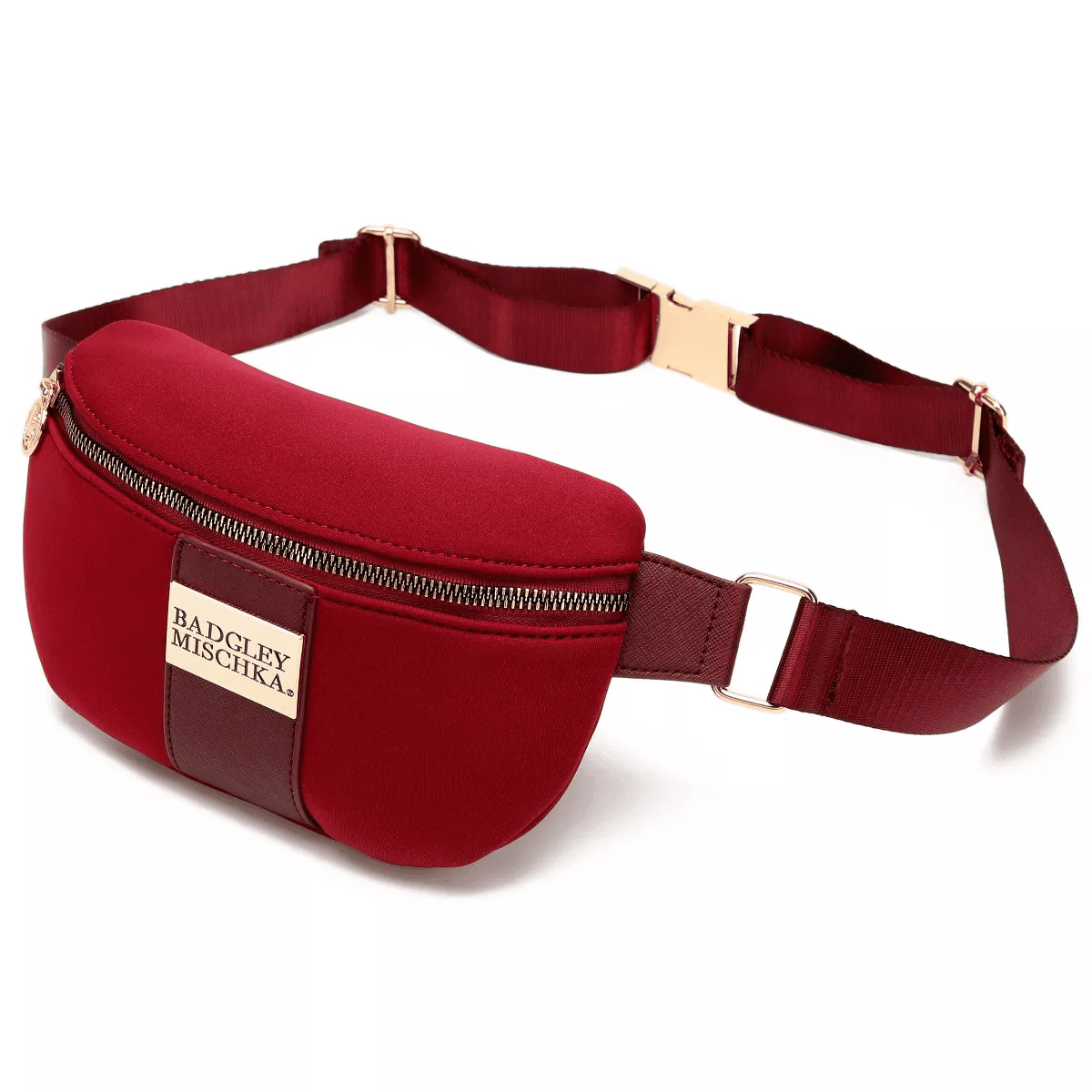 Badgley Mischka Sage Travel Fanny Pack