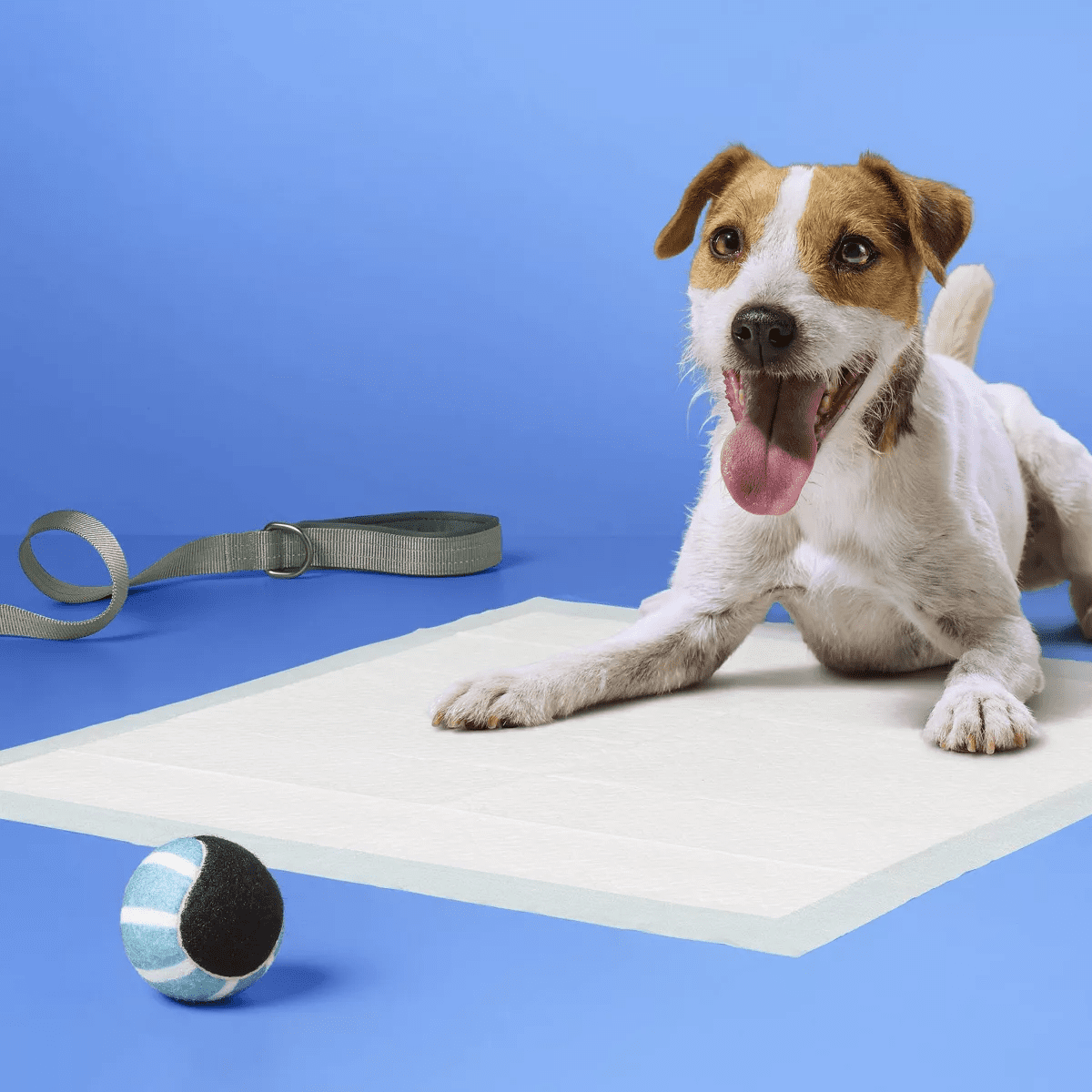 Dog Training Pads - L - Up&Up - Image 2